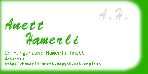 anett hamerli business card